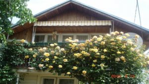 Available list of houses for sale:
