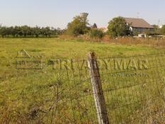 Land for sale   Bolintin  Vale